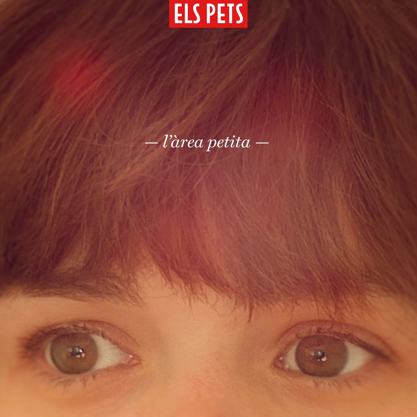 L'ÀREA PETITA (CD)