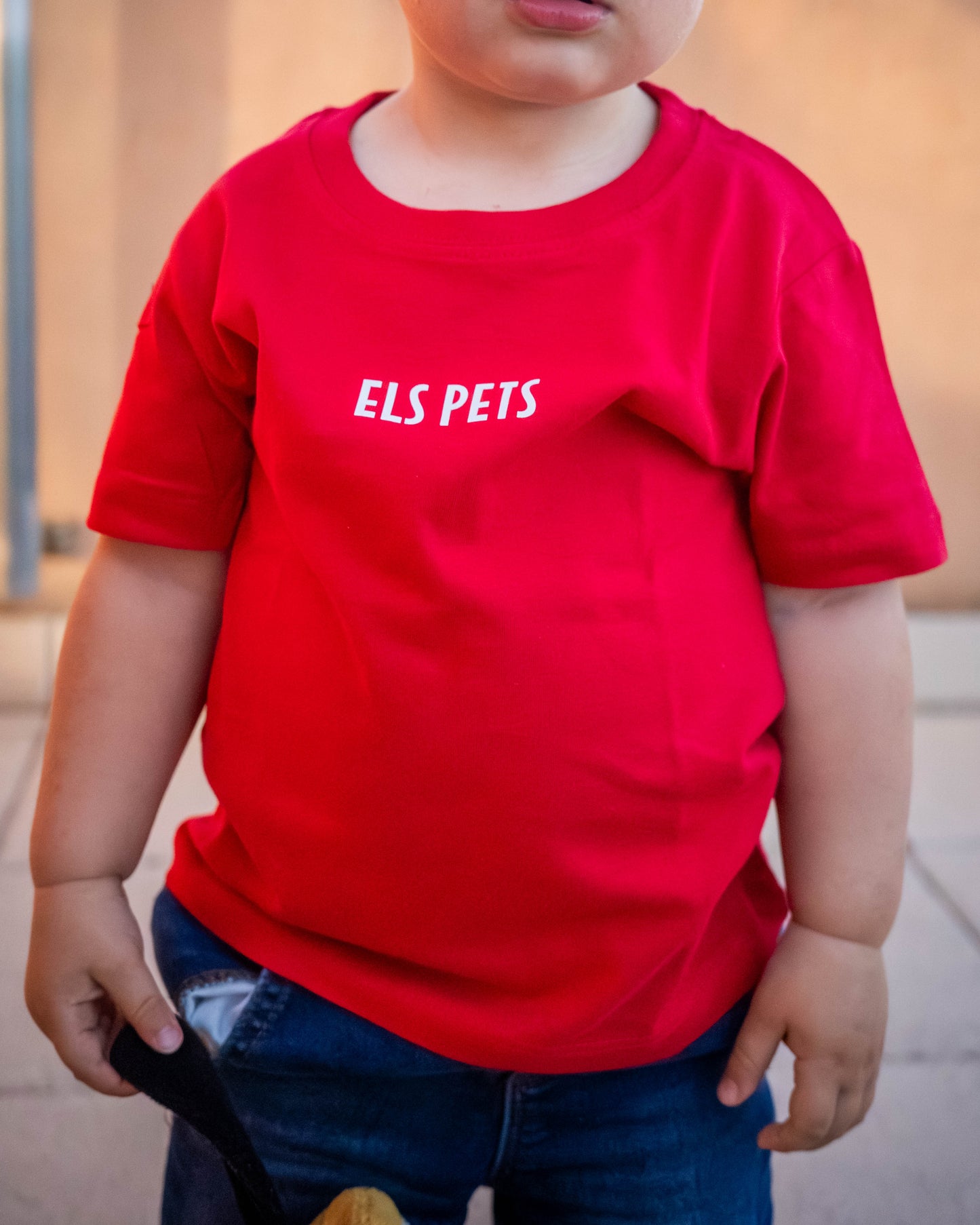Samarreta infantil - "ELS PETS"